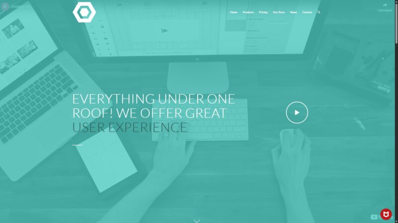 Enfold Startup Business Demo