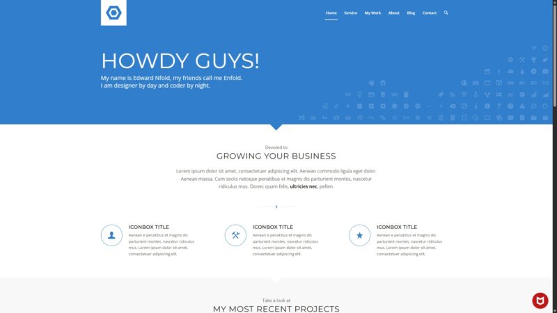 Enfold Flat Business Demo