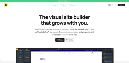 Bricks Builder screenshot