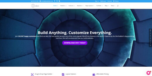 Divi screenshot